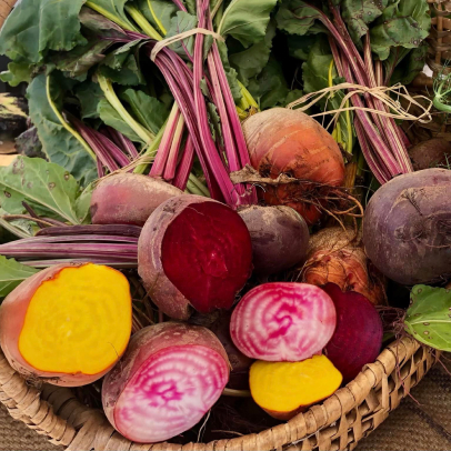 maraîcher bio Loir-et-Cher 41